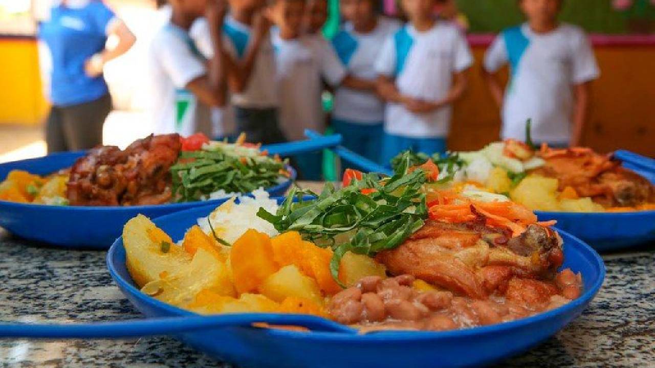 Comissão debate reajuste automático anual no Programa Nacional de Alimentação Escolar
