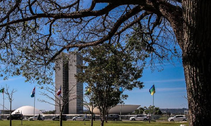Congresso aumenta punição a crimes sexuais online contra crianças  