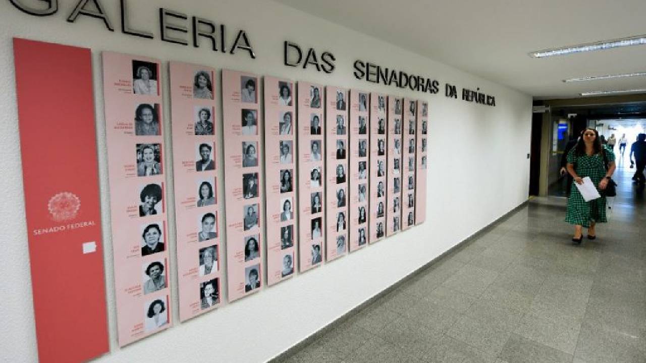 Doze mulheres são eleitas para o Senado Federal