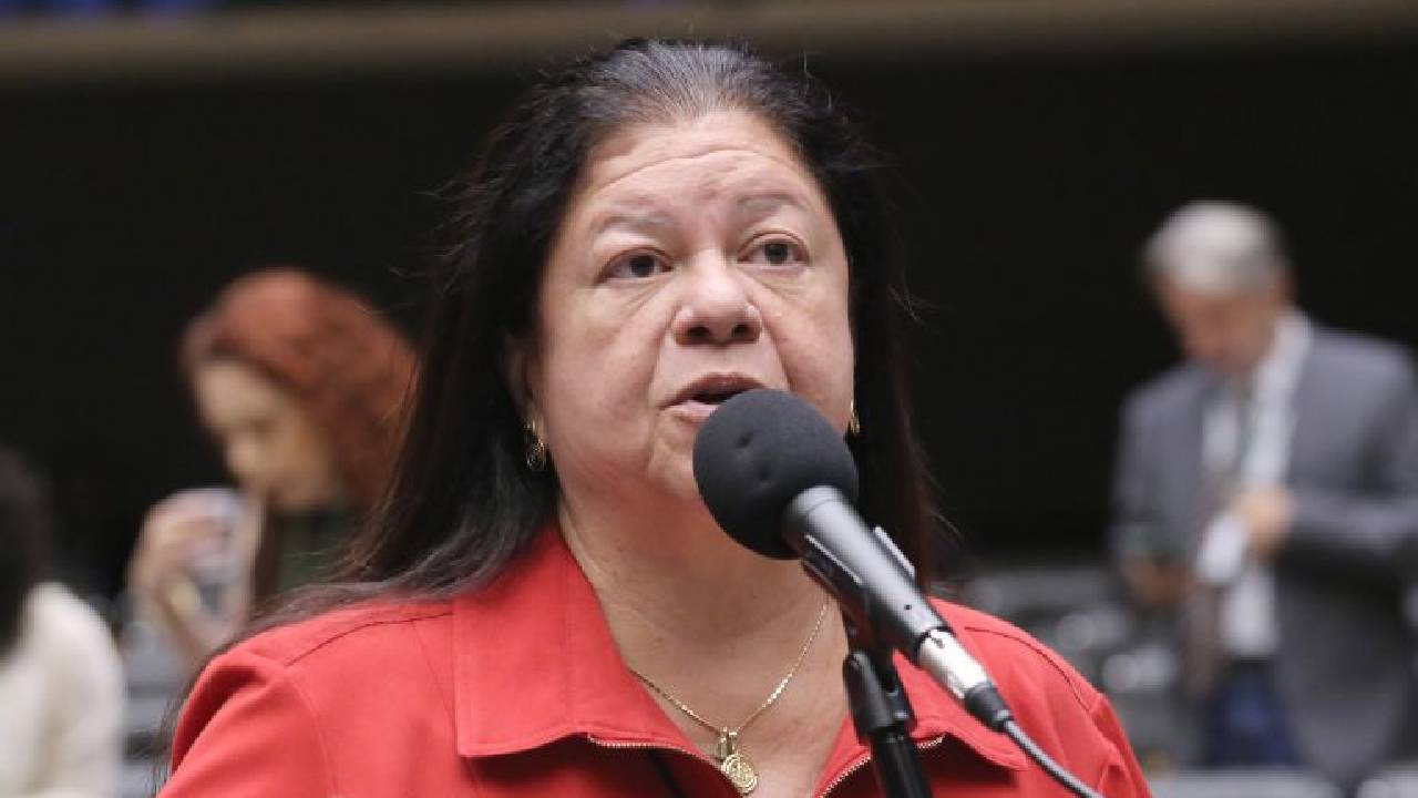 Lei define regras para a guarda compartilhada de pets