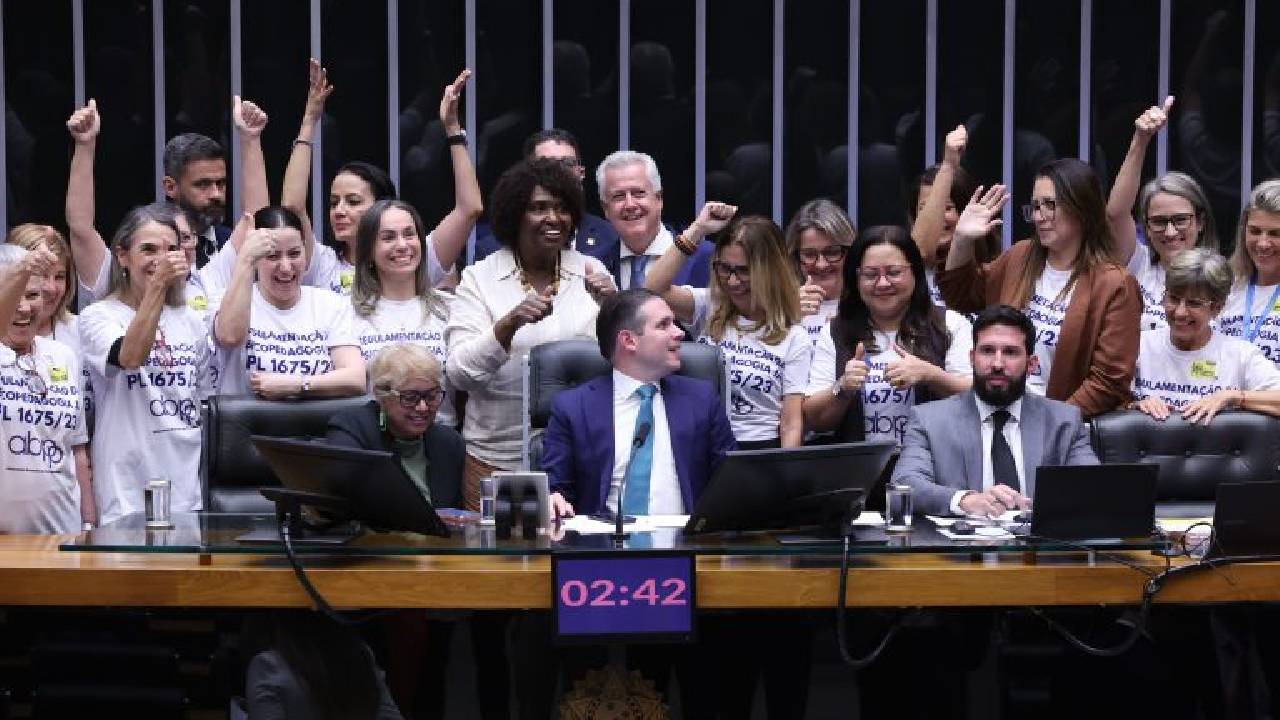 Lei regulamenta exercício da psicopedagogia com veto a requisitos de formação