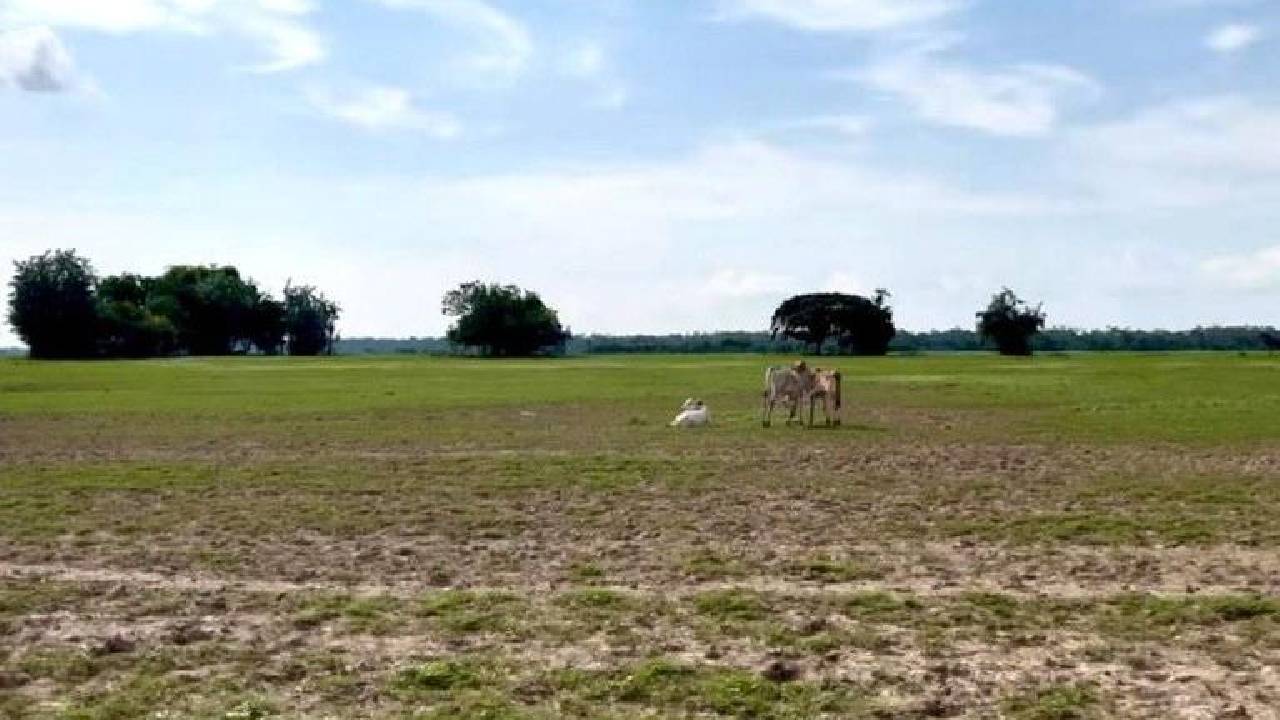 MPF recomenda anulação de licenças e suspensão de dragagem feita pela Alcoa no Rio Amazonas em Juruti (PA)