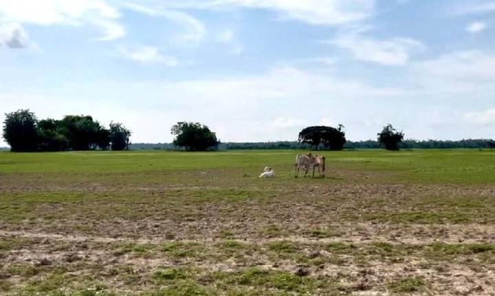 MPF recomenda anulação de licenças e suspensão de dragagem feita pela Alcoa no Rio Amazonas em Juruti (PA)