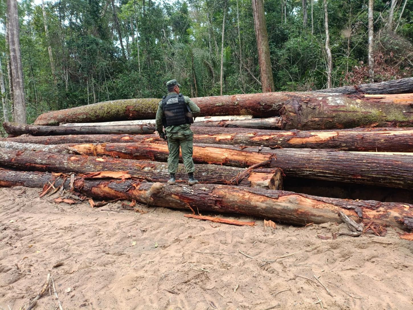 Polícia Ambiental descobre 250 metros de madeira ilegal e equipamentos em Santarém