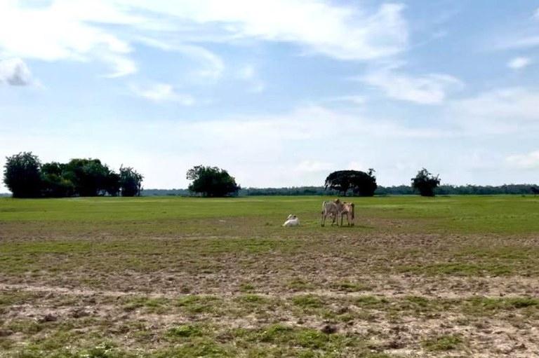 MPF recomenda anulação de licenças e suspensão de dragagem feita pela Alcoa no Rio Amazonas em Juruti (PA)